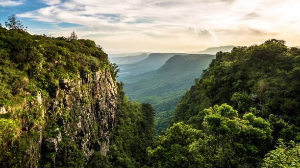 The view at God's Window. Photo taken at God's Window viewpoint near Graskop in South Africa. The view is down from the Drakensberg escarpment into the Lowveld more than 900m below. river valleys stock pictures, royalty-free photos & images