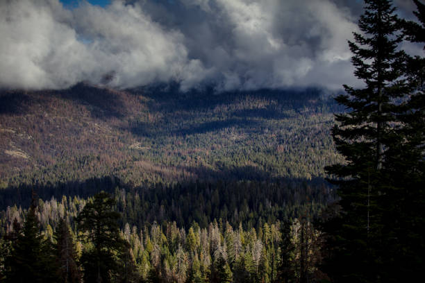 Clouds moving over the lakes and trees of Kings Canyon National Park, California, USA. Part of a series.