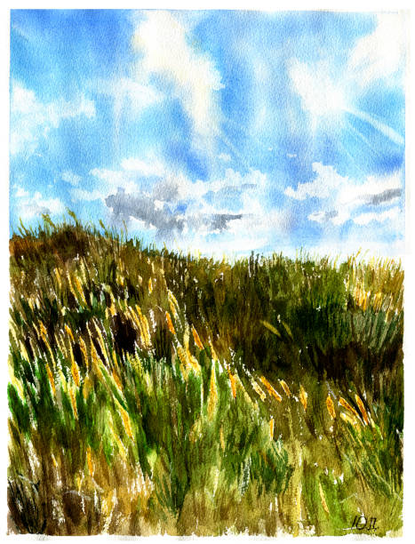 istock Watercolor Meadow landscape. Nature illustration for design or background 909729302