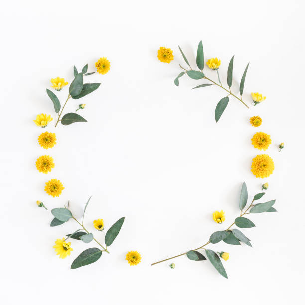 Photo of Yellow flowers, eucalyptus branches. Flat lay, top view