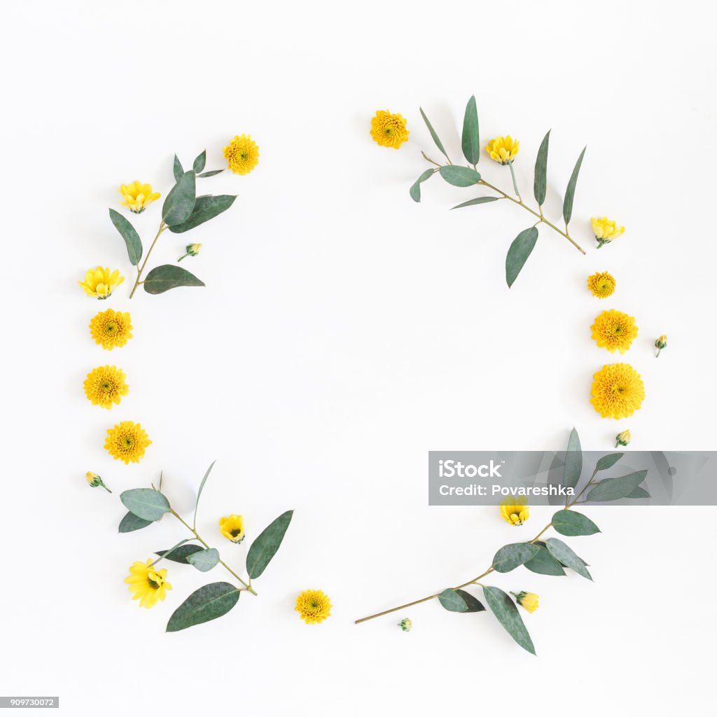 Yellow flowers, eucalyptus branches. Flat lay, top view Flowers composition. Wreath made of various yellow flowers and eucalyptus branches on white background. Flat lay, top view, copy space, square Flower Stock Photo