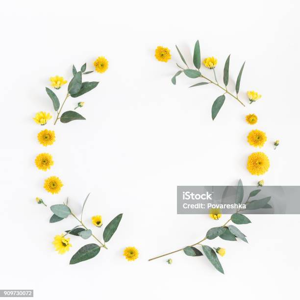 Yellow Flowers Eucalyptus Branches Flat Lay Top View Stock Photo - Download Image Now