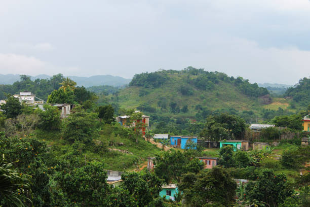 houses and shacks nestled among the lush, green foliage that covers the hillside, nine mile, jamaica. - tropical rainforest jamaica tropical climate rainforest imagens e fotografias de stock