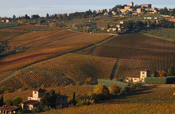 istock View over lovely vineyards to Panzano Fall 90974389