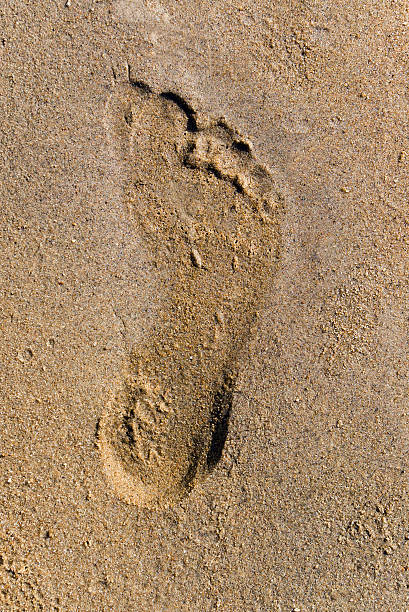 istock trace of the leg on song 90974487