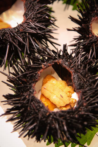 Fresh Sea Urchin Uni Sashimi at Fish market in Japan