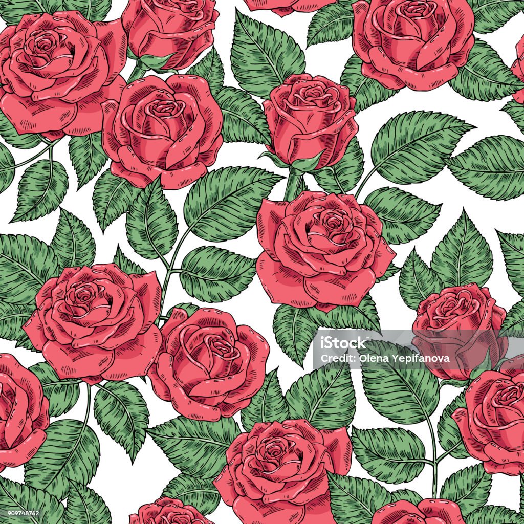 Nền Cổ Điển Liền Mạch Vector Với Hoa Hồng Vẽ Tay Hình Nền Kết Cấu ...