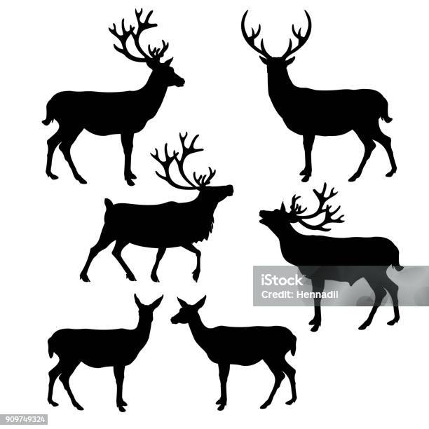 Collezione Deer Silhouette - Immagini vettoriali stock e altre immagini di Renna - Renna, Cervo - Cervide, Sagoma - Controluce
