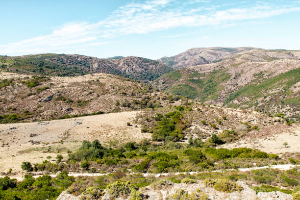 istock In the middle of Sardinia 909753172