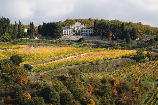 istock Great Palace in Vineyards of Chianti 90975382