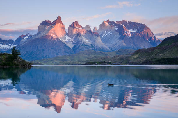istock Sunrise in Torres del Paine, Chile 909755748