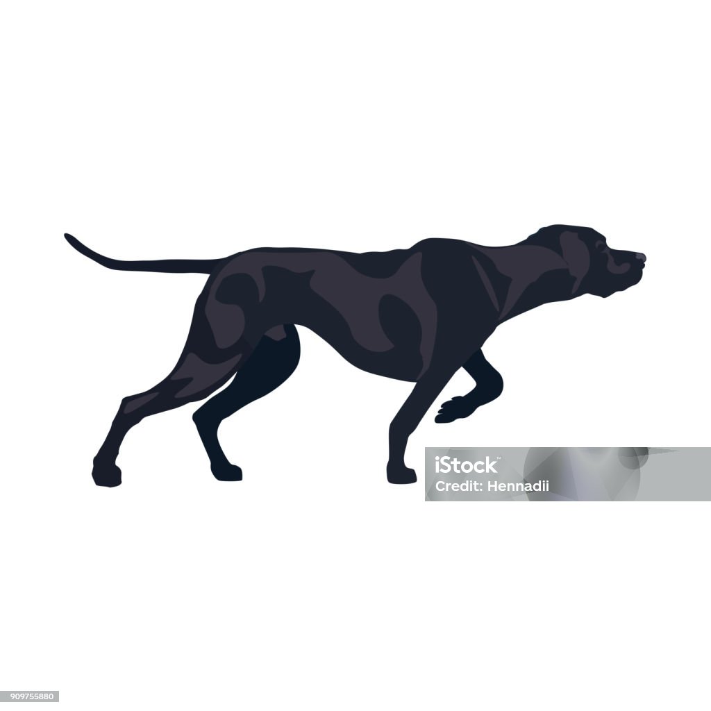 ÐÐµÑÐ°ÑÑ Classic pointer stance. Gun dog breed. Vector illustration isolated on the white background Hunting Dog stock vector