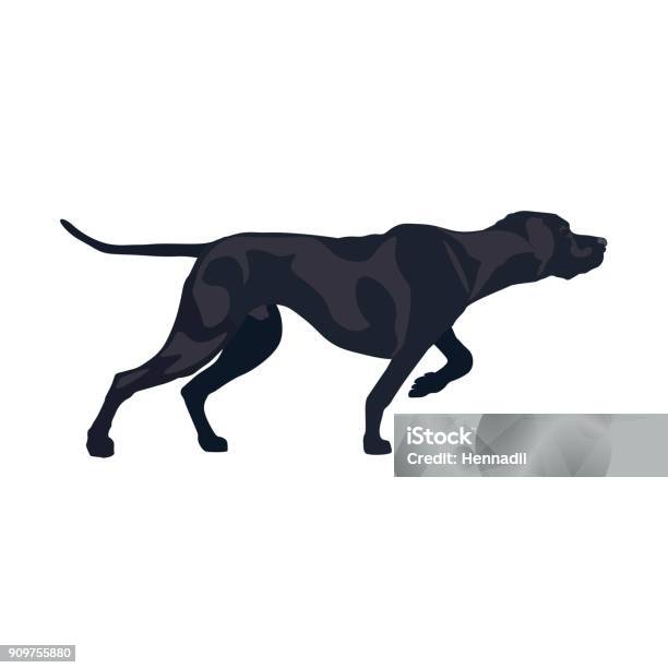 Ððµñðññ Stock Illustration - Download Image Now - Hunting Dog, Pointer - Dog, Dog