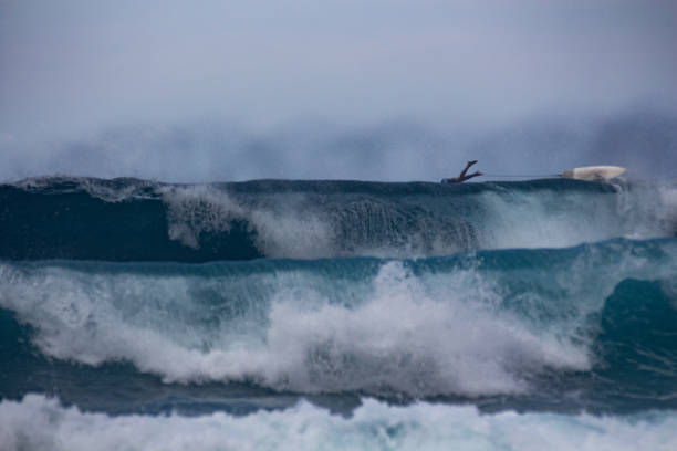 surfer jumping over the big waves - big wave surfing imagens e fotografias de stock