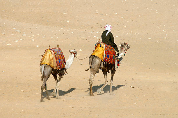 istock Camel rider in Giza, Egypt 90975937