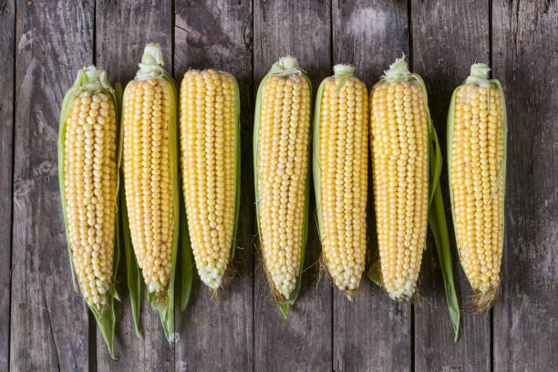istock Fresh organic yellow sweet corn on wooden table. Top view 909761186