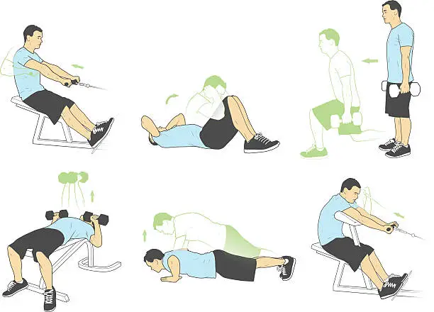 Vector illustration of Weightlifting and exercises (Vector)