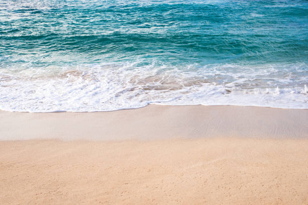 istock sandy beach of Sunset Beach in Oahu, Hawaii 909765240