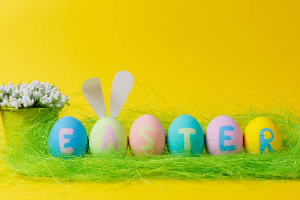 istock Row of six colorful pastel monophonic painted Easter eggs with inscription Easter, fun bunny ears, white flowers in bucket in green grass isolated on yellow background. Copy space for advertisement. 909772558
