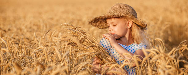 istock Happy child in autumn wheat field 909782206