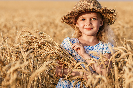 Happy child in autumn wheat field. Beautiful girl with white hair in a straw hat with ripe wheat in hands