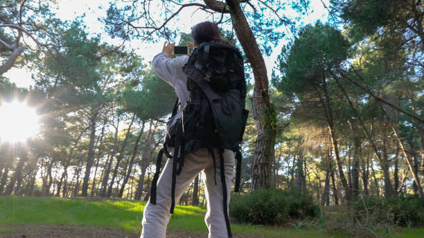 istock Young woman on holiday exploring nature on the forest 909785534