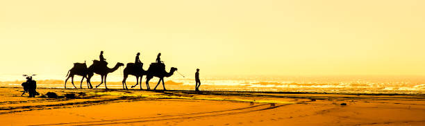 young woman raiding a camel together with her son at the beach
