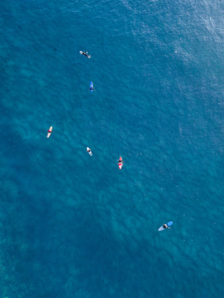 istock Group of Surfers 909795866