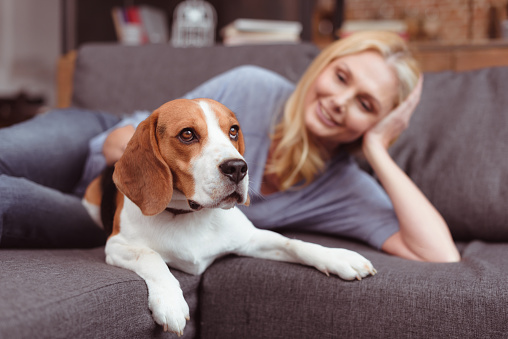 beautiful smiling woman stroking dog while lying on sofa at home