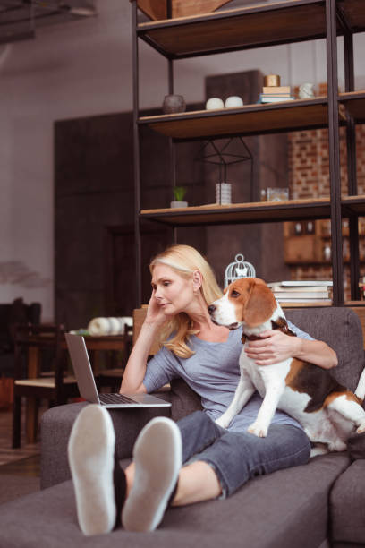 istock woman with dog using laptop 909796390