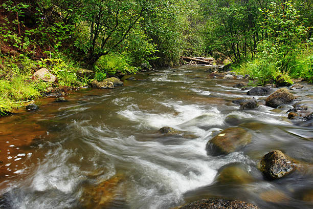 ลําห้วยป่า - jemez ภาพสต็อก ภาพถ่ายและรูปภาพปลอดค่าลิขสิทธิ์