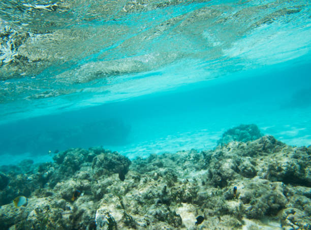 istock Ocean Floor at Yejele Beach 909803002