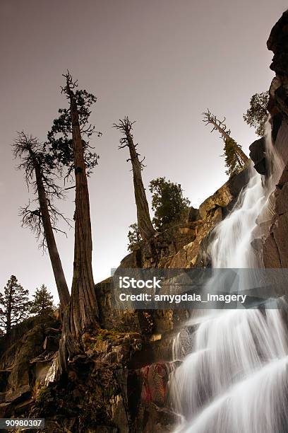 Waterfall And Trees Stock Photo - Download Image Now - South Lake Tahoe, Beauty, Beauty In Nature