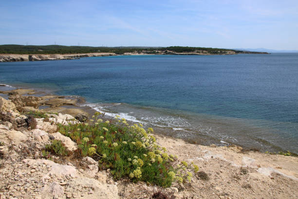 istock Coast of Martigues 909806426