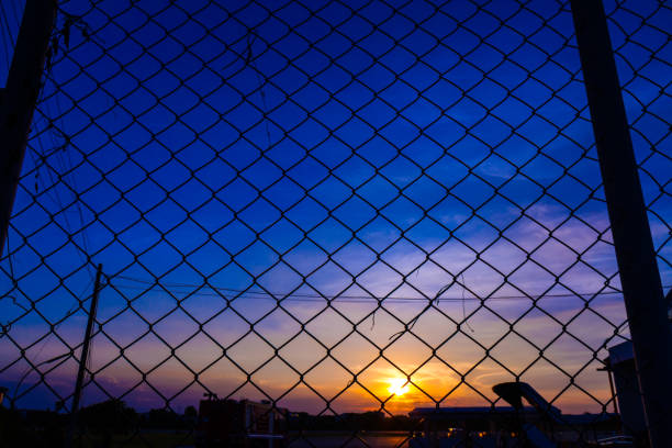 istock mesh fence with the sun set 909818830