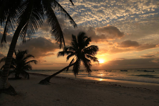 istock Beautiful Tulum beach at sunrise in Mexico 909824662
