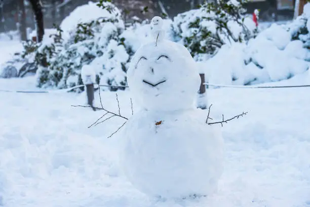 Photo of Great snow in Tokyo. The next day, artistic works line up in the park.