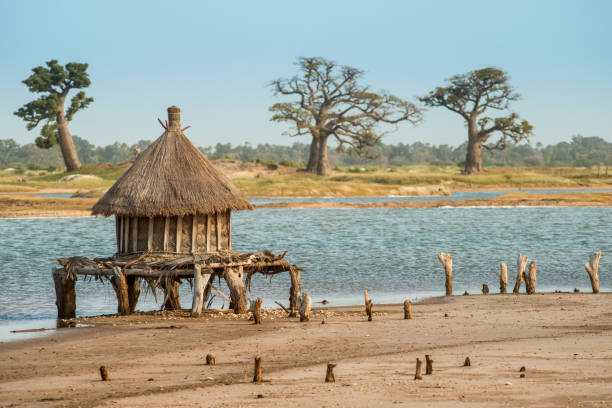 Senegal granary storage Traditional granary storage on stilts in a Senegalese salt marsh. senegal photos stock pictures, royalty-free photos & images