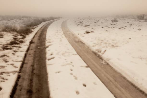 tire tracks through fresh snow on Umptanum Ridge, near Ellensburg, Washington.