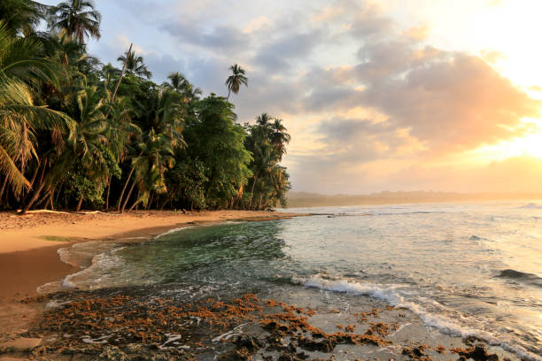 美しいビーチでマンサニヨ、コスタリカ (カリブ海) - costa rican sunset ストックフォトと画像