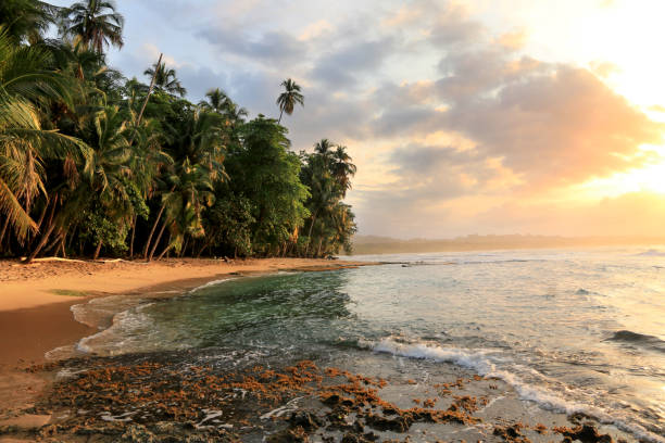 piękna plaża w manzanillo, kostaryka (morze karaibskie) - costa rican sunset zdjęcia i obrazy z banku zdjęć