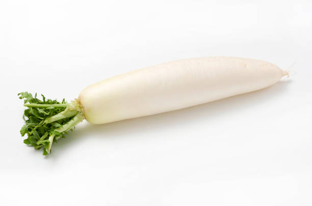 Japanese radish  isolated white background