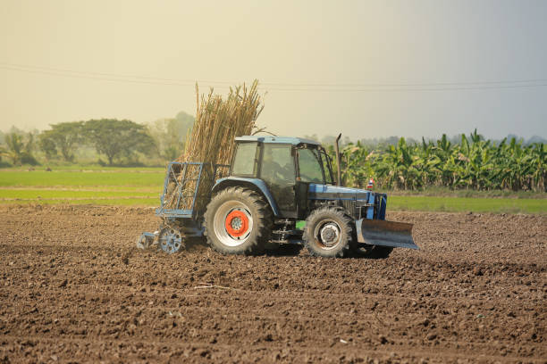 istock Agricultural machinery, sugar cane. 909829160