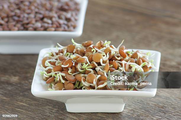 Lentilha - Fotografias de stock e mais imagens de Alimentação Saudável - Alimentação Saudável, Botão - Estágio de flora, Comida