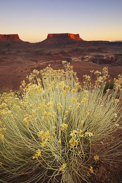 istock canyon country sunset 90983106