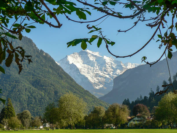 interlaken, schweiz - brienz mountain landscape lake stock-fotos und bilder