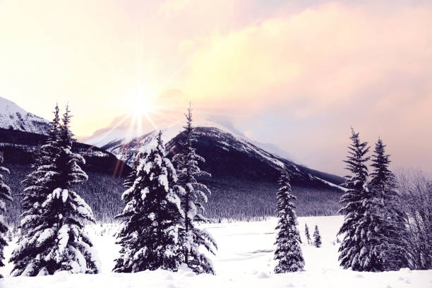 istock Dreamy winter landscape in Jasper National Park, Alberta, Canada 909838954