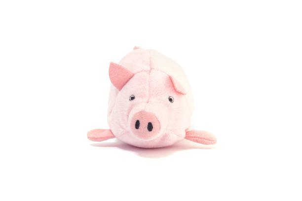 istock Closeup cute pink pig doll isolated on white background 909840130