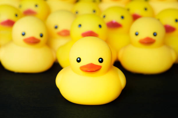 istock Closeup of rubber duckies 909843830