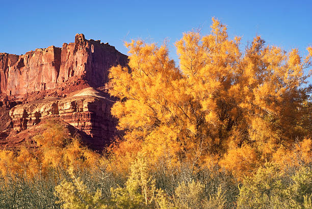 istock canyon country autumn 90984685